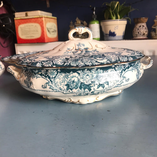 Antique J. H. W & Sons Hanley ‘belmont’ Dinner Service